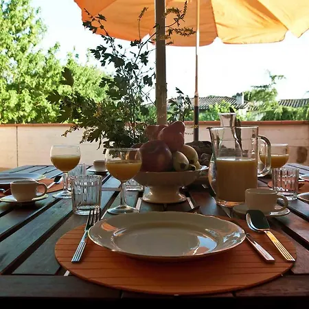 Apartman Con Terrazza Lido delle Nazioni