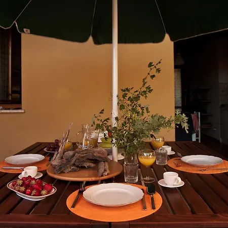 Con Terrazza Appartement *